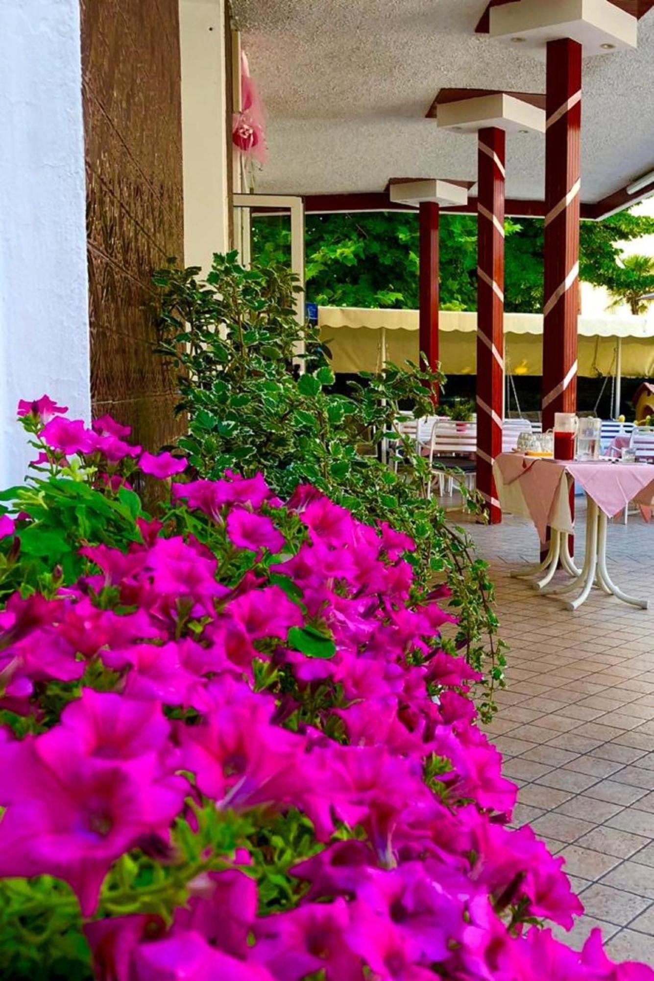 Hotel Alessi** Rimini Exterior photo